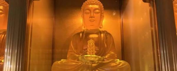 专项扣除填报后多久生效